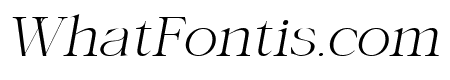 Asking Ladies Italic