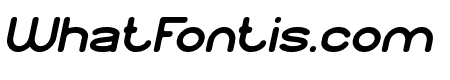 AMERICAN FAVORITE Bold Italic