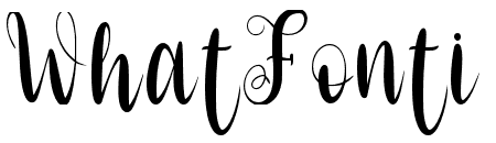 MerryScript