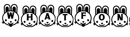 NN Rabbit3