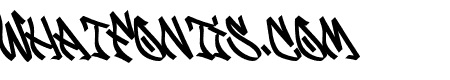 Casetwo-Slant
