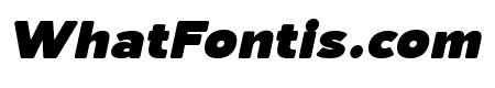 Laro Soft Black Italic