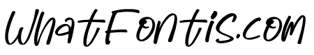 cute bear Italic