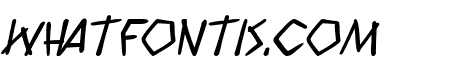 Wyld Savagez PG Bold Italic