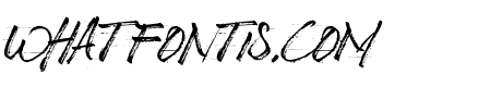 BizardleSs