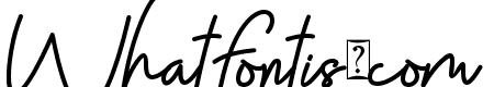 Sky Fly Script - Personal Use