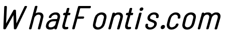 Linguineve Regular Italic