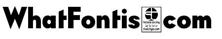 Typo Formal Demo Bold