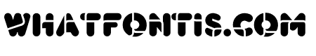 BlackBees