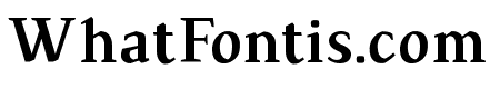 TS-Chapinero-Serif Medium