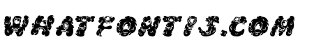Komo Nout inline