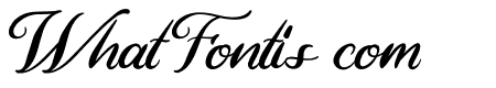 Black Rainbow Script FREE