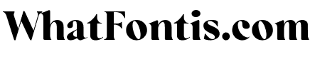 Regatto Bold