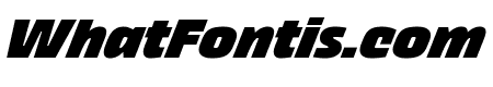 Thicker Trial Black Italic