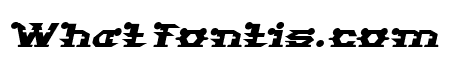 STARGAZER Italic