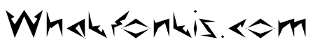 Shinobi Ninja-Light