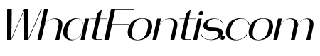 faddish Italic