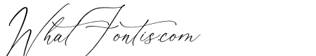 Beatrice Clorophil Italic