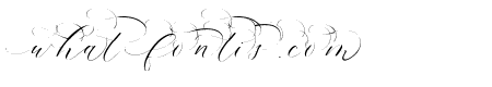 Flantina Tail 01
