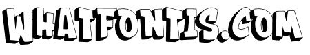 BOOMSTER Graffiti