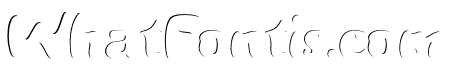 Migty Foxs In Shadow Regular
