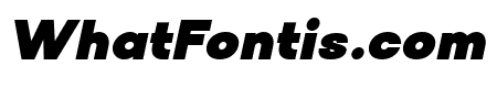 Solen Black Italic