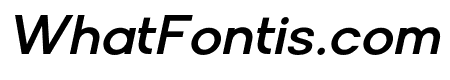 Solen-MediumItalic