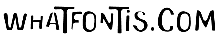Carnival-Fest Thin