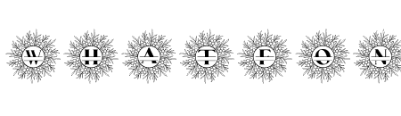 SalsabilaMonogram