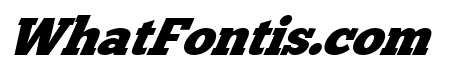 Stockball Italic
