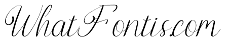 Roccang Italic