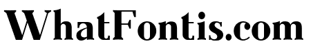 Everflow Bold