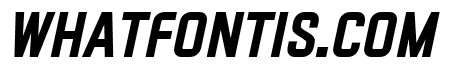 VECTRO Bold Italic