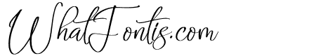 Anabellyn Italic
