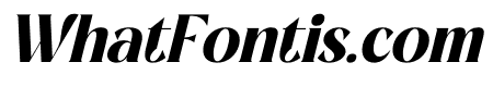 Mercado Italic