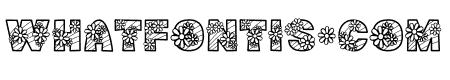 Daisy-Rainbow