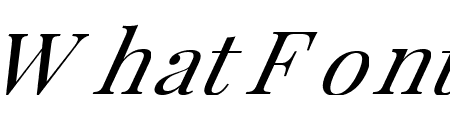 Droplits Italic