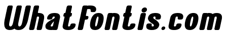 Ameliorate Bold Italic
