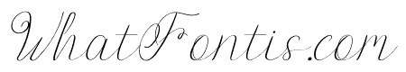 Donitty Italic