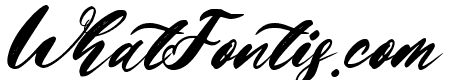 Michellia Italic