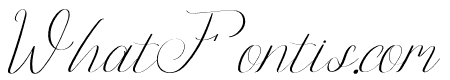 Flasstival Italic