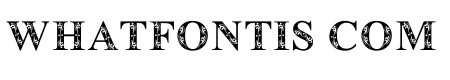 Decora Monogram Regular