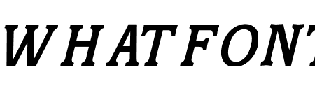 Skinner Morgan Italic