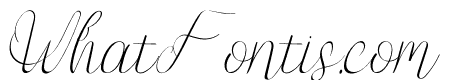 Jump Wings Italic