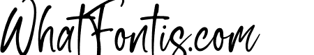South Signature