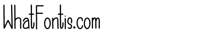 Salomon Typograph
