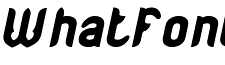 RED ROSES Bold Italic