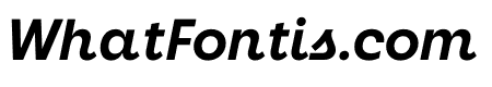 Neighbor Bold Italic