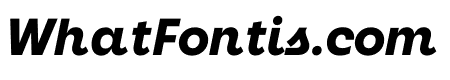 Neighbor Extrabold Italic