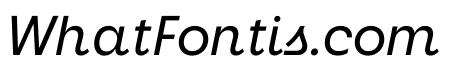 Neighbor Italic
